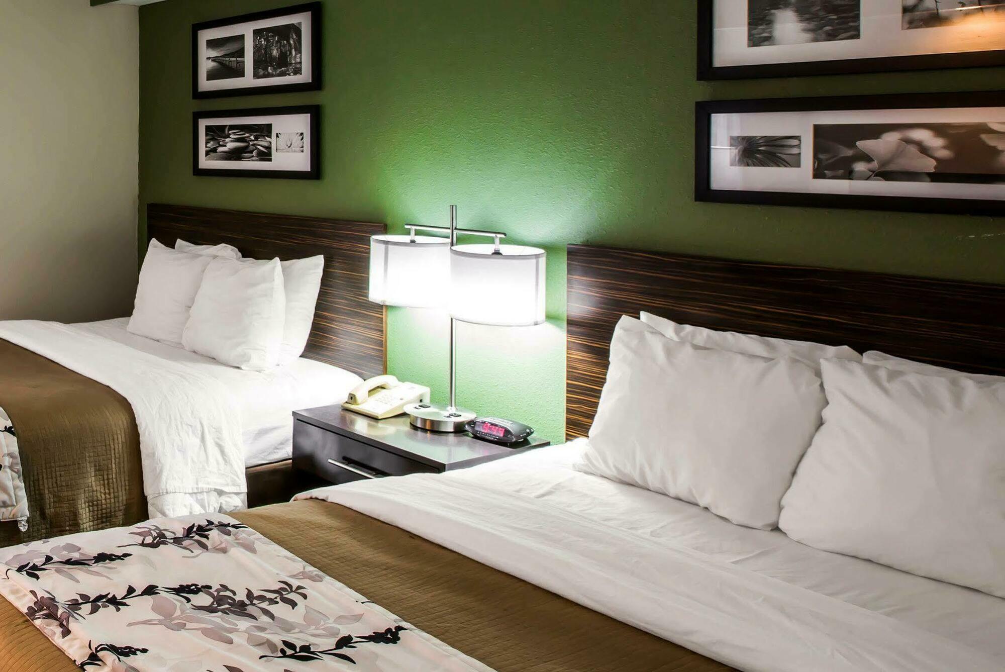 Sleep Inn & Suites Kingsport Tricities Airport Exteriér fotografie